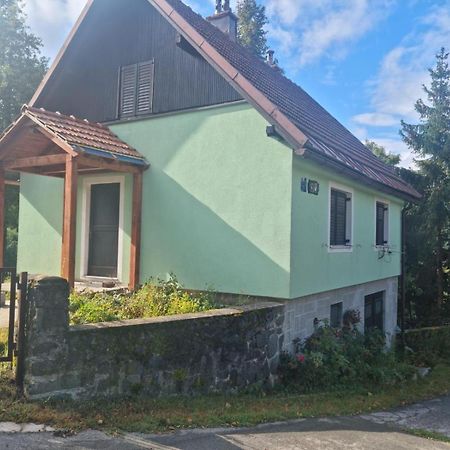 Forest Chalet Zalesina 外观 照片