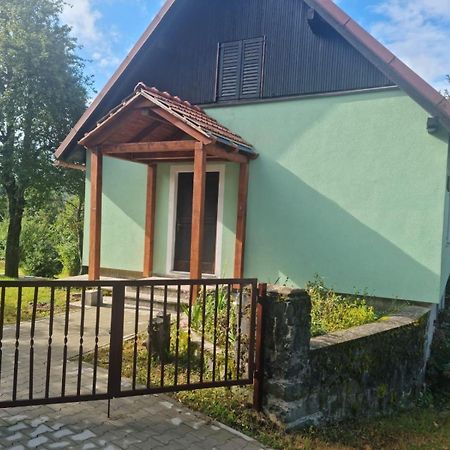 Forest Chalet Zalesina 外观 照片