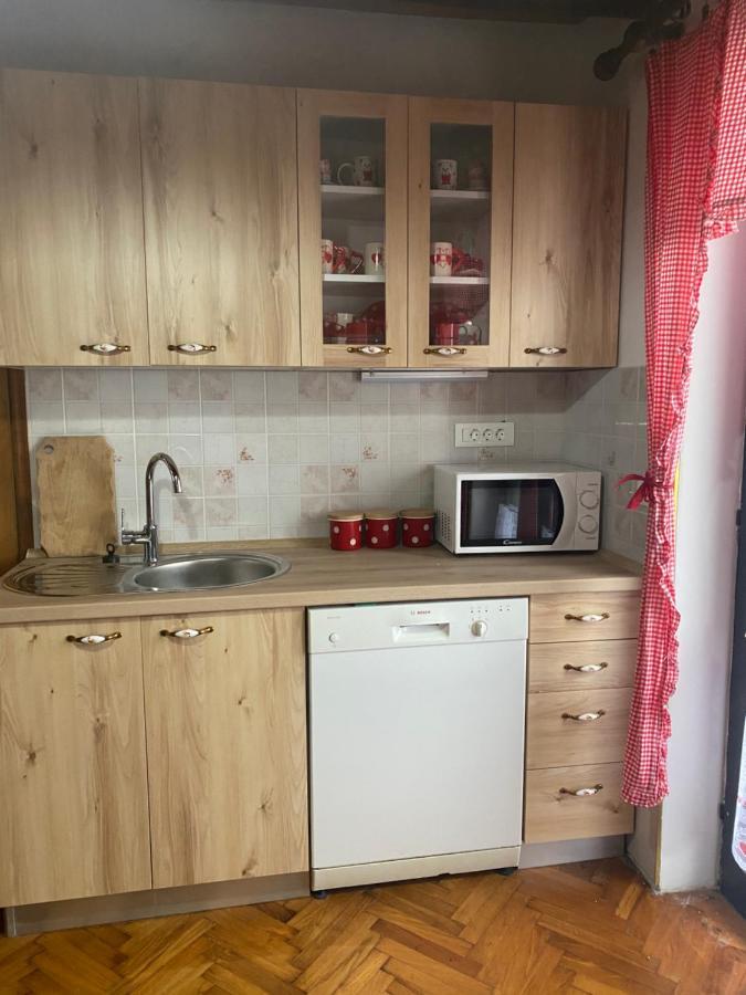 Forest Chalet Zalesina 外观 照片