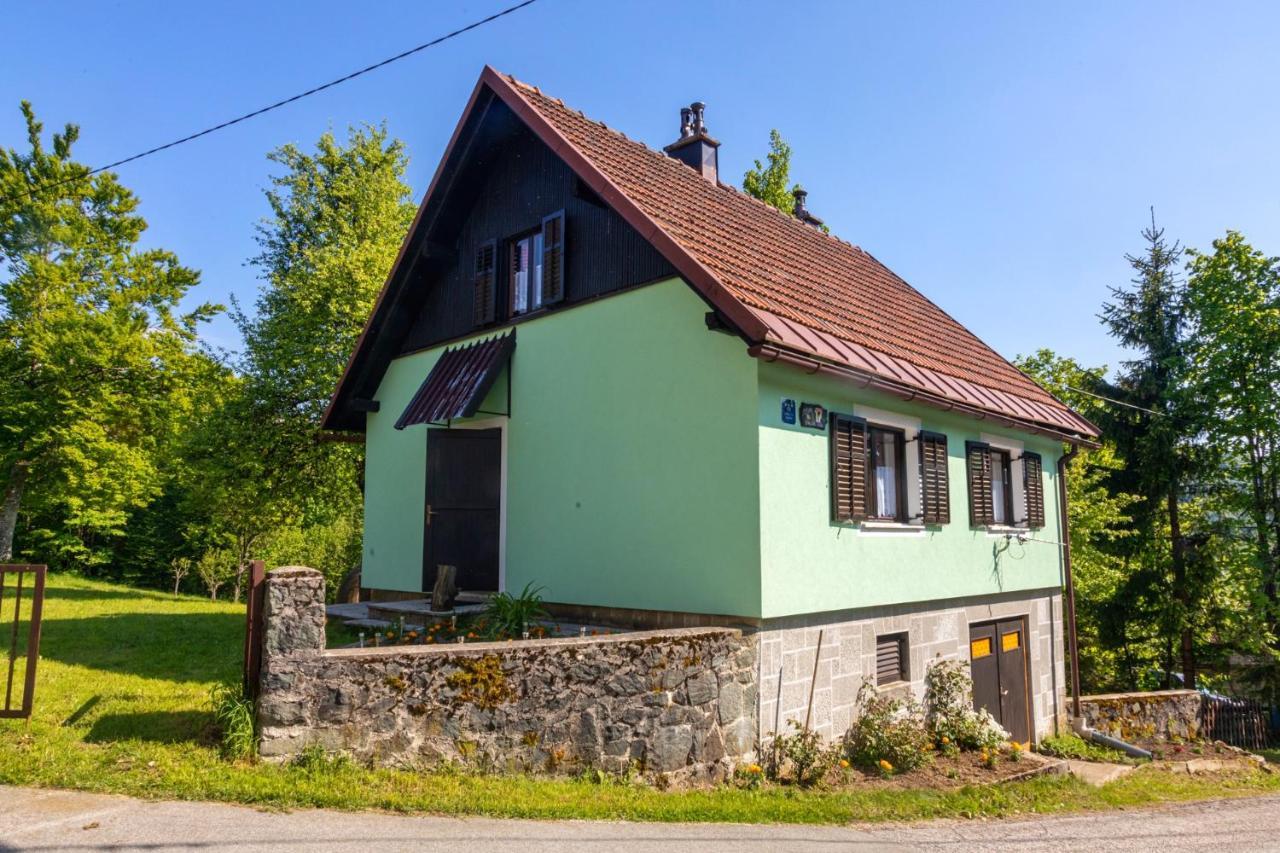 Forest Chalet Zalesina 外观 照片