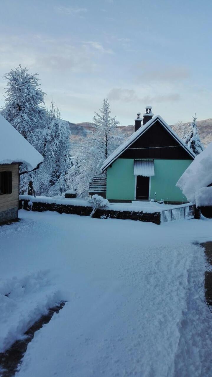 Forest Chalet Zalesina 外观 照片